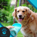 Petbottle plus - 550ml - Petbottle.dk